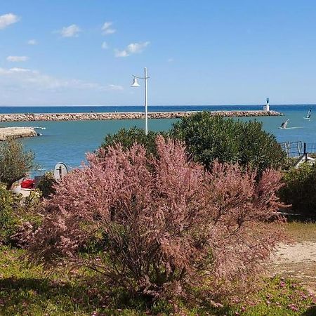 T3 Carnon, 1Ere Ligne 50M Plage Terrasse Parking Mauguio Exteriör bild